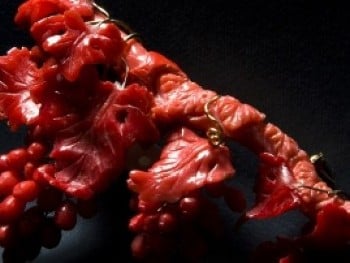 PLATIMIRO FIORENZA: Rosso Corallo. Tra Sogno e Materia