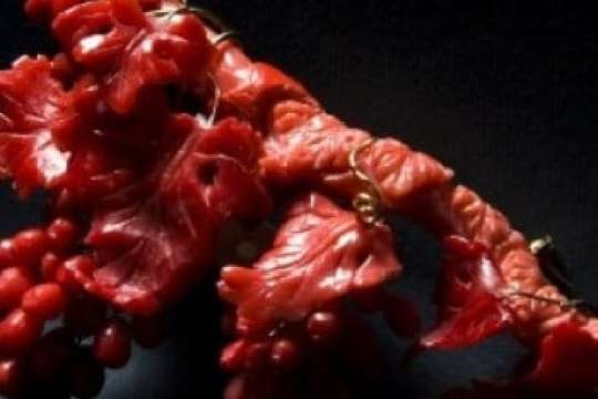 PLATIMIRO FIORENZA: Rosso Corallo. Tra Sogno e Materia